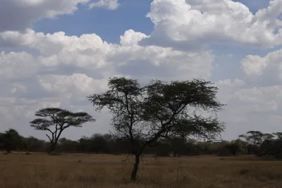 DSC_4032 (Large).JPG